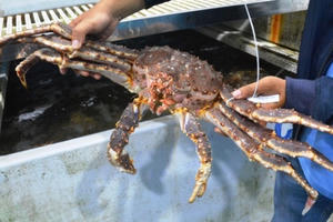 Tin kinh tế 6AM: Thế giới chao đảo vì virus corona, giá vàng tiếp tục tăng cao