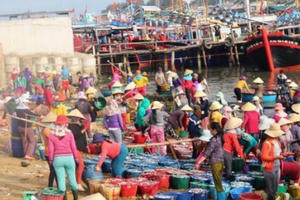 Hơn 1.200 ngư dân Quảng Ngãi bám biển Hoàng Sa xuyên tết