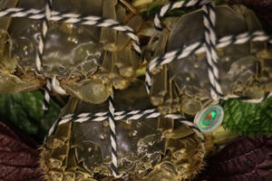 Loại cua “nhà giàu” bán tràn lan chỉ từ 45.000 đồng/con, tiểu thương “tiết lộ” sự thật