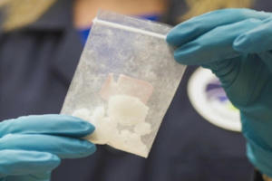 Mỹ thu giữ lượng fentanyl có thể giết 14 triệu người