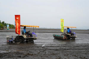 Bàn giải pháp mở rộng vùng chuyên canh lúa chất lượng cao, phát thải thấp gắn với tăng trưởng xanh vùng ĐBSCL