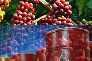 Giá dầu quay đầu giảm, giá cà phê tăng