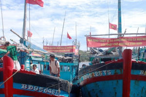 Lộ sai sót rất nghiêm trọng trước đoàn thanh tra EC, Ban quản lý cảng Qui Nhơn bị kiểm điểm