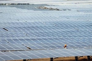 8 dự án điện gió, điện mặt trời đã "chốt" giá điện tạm thời