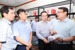 Nghệ An: Bỏ phiếu công nhận huyện Nam Đàn đạt chuẩn Nông thôn mới nâng cao năm 2024