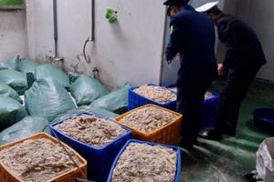 Bắc Giang: Tạm giữ, điều tra hơn 9 tấn thực phẩm đông lạnh không rõ nguồn gốc