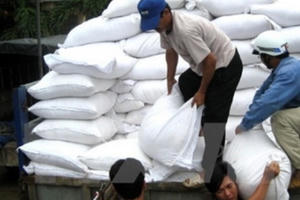 Chính phủ tiếp tục hỗ trợ gạo cho 6 tỉnh trong dịp Tết Bính Thân