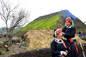 Đẹp lạ bản làng với hàng chục ngôi nhà sàn phủ kín rêu xanh ở Hà Giang