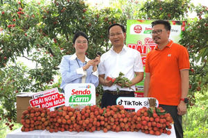 Livestream đầu tay, Phó Chủ tịch Bắc Ninh bán 54 tấn vải trong 6 giờ