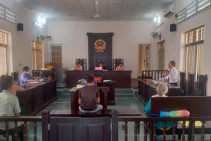 Lĩnh án 5 năm tù vì xâm hại phụ nữ bị bệnh tâm thần dẫn đến sinh con