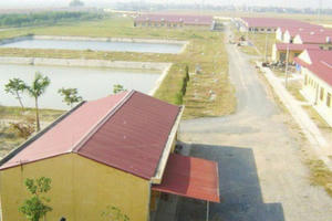 Dabaco bị phạt và truy thu hơn 400 triệu đồng tiền thuế