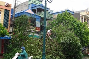 Thành Phố Nam Định tan hoang sau sự hung bạo của cơn bão số 1 Thành Phố Nam Định tan hoang sau sự hung bạo của cơn bão số 1