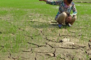 Quyết liệt phòng chống hạn