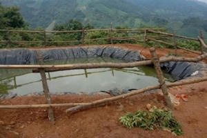 Lào Cai: Tắm ở hố tích nước, 3 cháu bé 7 tuổi đuối nước tử vong thương tâm