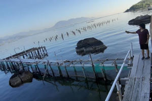 Khánh Hòa: Cần xử lý hình sự vụ giang hồ đập phá tan hoang cơ sở du lịch để tránh tiền lệ xấu