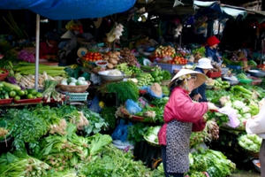 Tết Nguyên Đán: Sẽ không lo thiếu nguồn cung rau, thịt