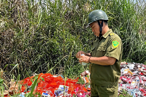 Thực phẩm chức năng bị vứt bỏ thành đống: Cần điều tra toàn bộ hoạt động kinh doanh của chủ lô hàng Thực phẩm chức năng bị vứt bỏ thành đống: Cần điều tra toàn bộ hoạt động kinh doanh của chủ lô hàng