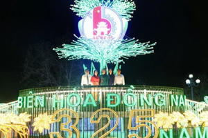 TP Biên Hòa khai mạc Con đường ánh sáng