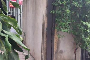 Nhịp cầu bạn đọc Plus số 62: UBND quận Ba Đình cần chỉ đạo xử lý dứt điểm kiến nghị của công dân Nhịp cầu bạn đọc Plus số 62: UBND quận Ba Đình cần chỉ đạo xử lý dứt điểm kiến nghị của công dân