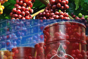 Thị trường năng lượng: Lực bán tăng mạnh, giá dầu quay đầu suy giảm