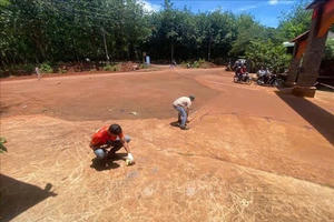 Bình Phước: Điều tra vụ án mạng khiến 2 người thương vong