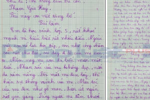 Nhói lòng món quà cậu bé tặng ông bố “gà trống nuôi con” ngày sinh nhật!