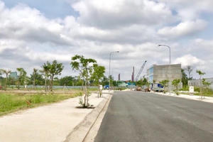 Cả làng đi buôn đất, truyền nhau cơ hội hốt tiền tỷ