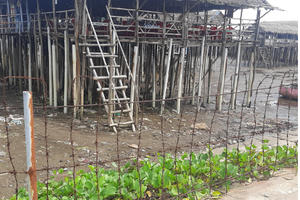 Nhức nhối tình trạng xả thải ven đê biển Gò Công