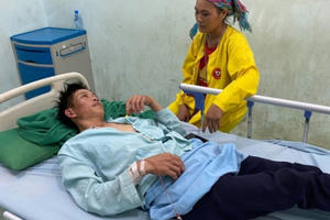 8 người ở Hà Giang nhập viện vì ăn hoa rừng xào trứng