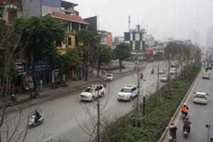 Phong lá đỏ ở Hà Nội chưa kịp đỏ đã ngả... màu đen