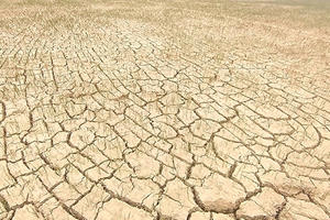 Khẩn trương cứu lúa trước đợt nóng kéo dài