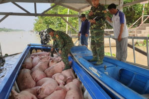 Tin kinh tế 7AM: Làm rõ việc xuất khẩu lậu lợn qua biên giới; Thời của YouTube-mạng ảo, tiền thật