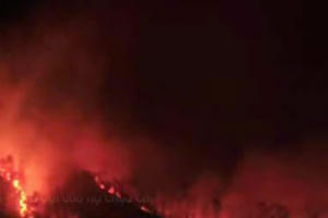 Quảng Ninh: Huy động hàng trăm người tham gia chữa cháy rừng trên xã đảo Minh Châu