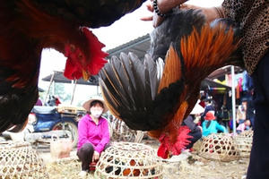 Chợ quê truyền thống Bắc Bộ họp phiên cuối năm