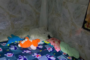 Đắk Lắk: Chồng bị vợ chém nhiều nhát vào đầu và cổ, nghi do gen tuông