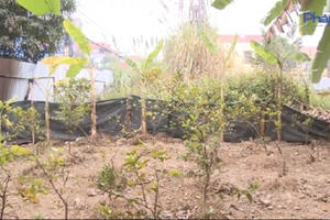 Thái Nguyên: Người dân mỏi mòn chờ đợi cấp sổ đỏ