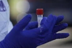 Họp bàn biện pháp hỗ trợ 226 công nhân Việt Nam tại Uzbekistan về nước