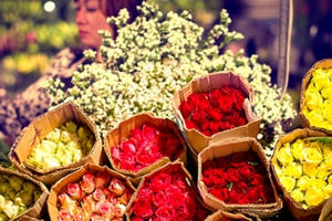 Hoa hồng “sốt” giá, dịch vụ bán hoa online “đứng hình” Hoa hồng “sốt” giá, dịch vụ bán hoa online “đứng hình”