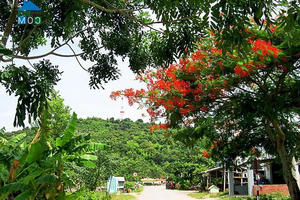 Tám xã vùng bãi ngang, ven biển thoát khỏi tình trạng đặc biệt khó khăn