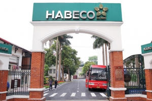 Năm 2023, lợi nhuận của Habeco lao dốc gần 30%