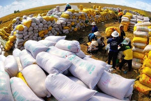 Kỳ vọng tin vui liên tiếp đến với ngành nông sản