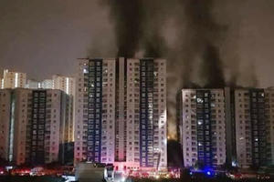 Khởi tố trưởng ban quản lý chung cư Carina