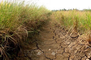 Chấp thuận chuyển mục đích sử dụng đất tại tỉnh Long An