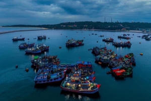 Hải Phòng: Người dân Bạch Long Vĩ bỏ phiếu bầu cử ngày 22/5