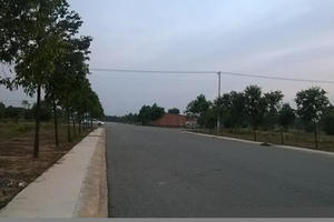 Bình Dương chỉ đạo khẩn việc phân lô bán nền trái luật, thổi giá đất