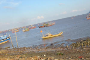 Thanh Hóa: 100% tàu thuyền đã tìm được nơi trú ẩn an toàn