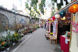 Hà Nội tổ chức 70 điểm chợ hoa xuân phục vụ Tết Nguyên đán Ất Tỵ năm 2025