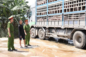 Hà Tĩnh: Phát hiện xe ô tô vận chuyển hơn 18 tấn lợn nhiễm dịch đi tiêu thụ