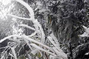 Dự báo thời tiết ngày 30/1: Hà Nội rét đậm từ 9 – 12°C