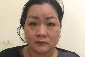 Triệt phá đường dây mang thai hộ giữa Hà Hội với giá khoảng 400 triệu đồng